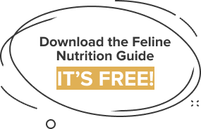 badge-download-guide-for-free