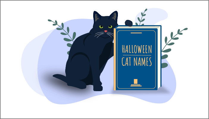 Image of Halloween Cat Names