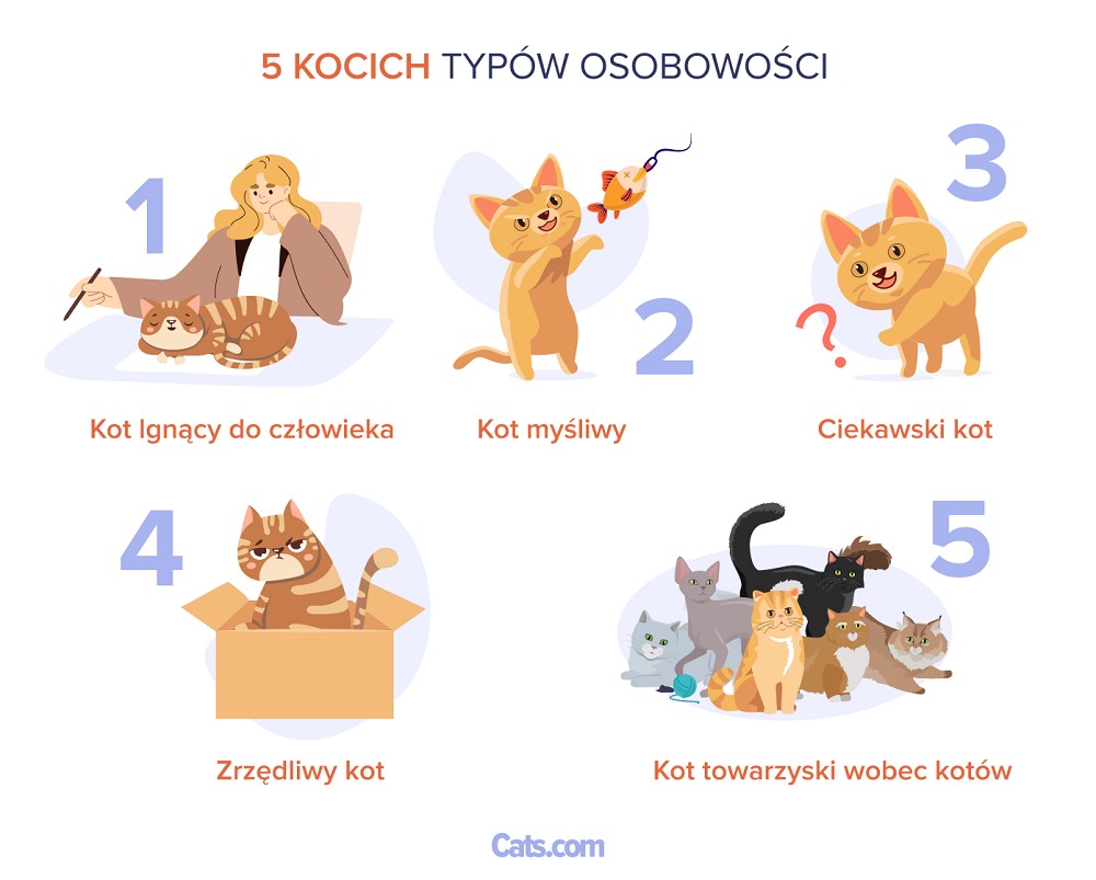 5 Spektrum osobowości kotów
