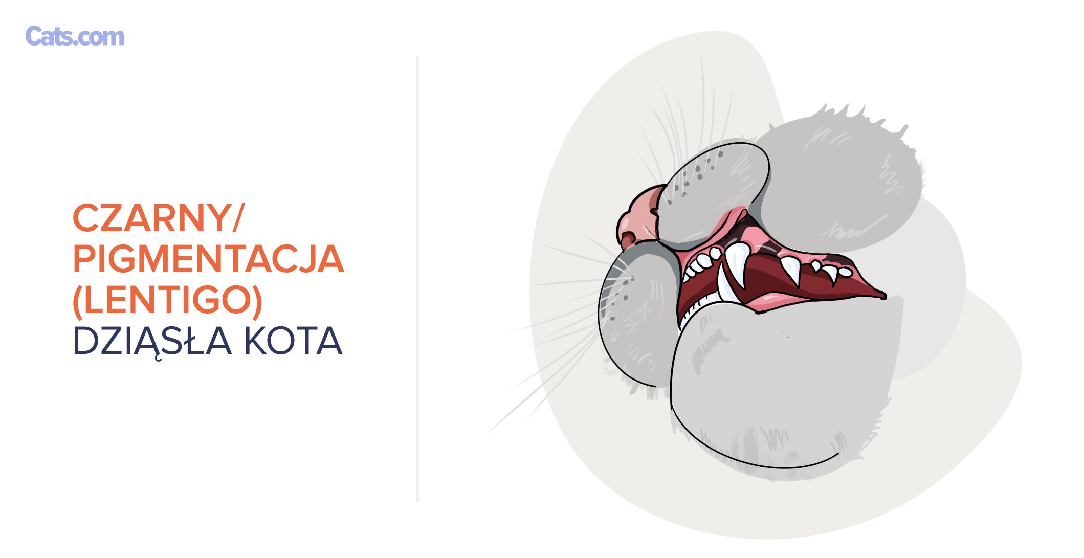 Czarny/Pigmentacja (Lentigo)