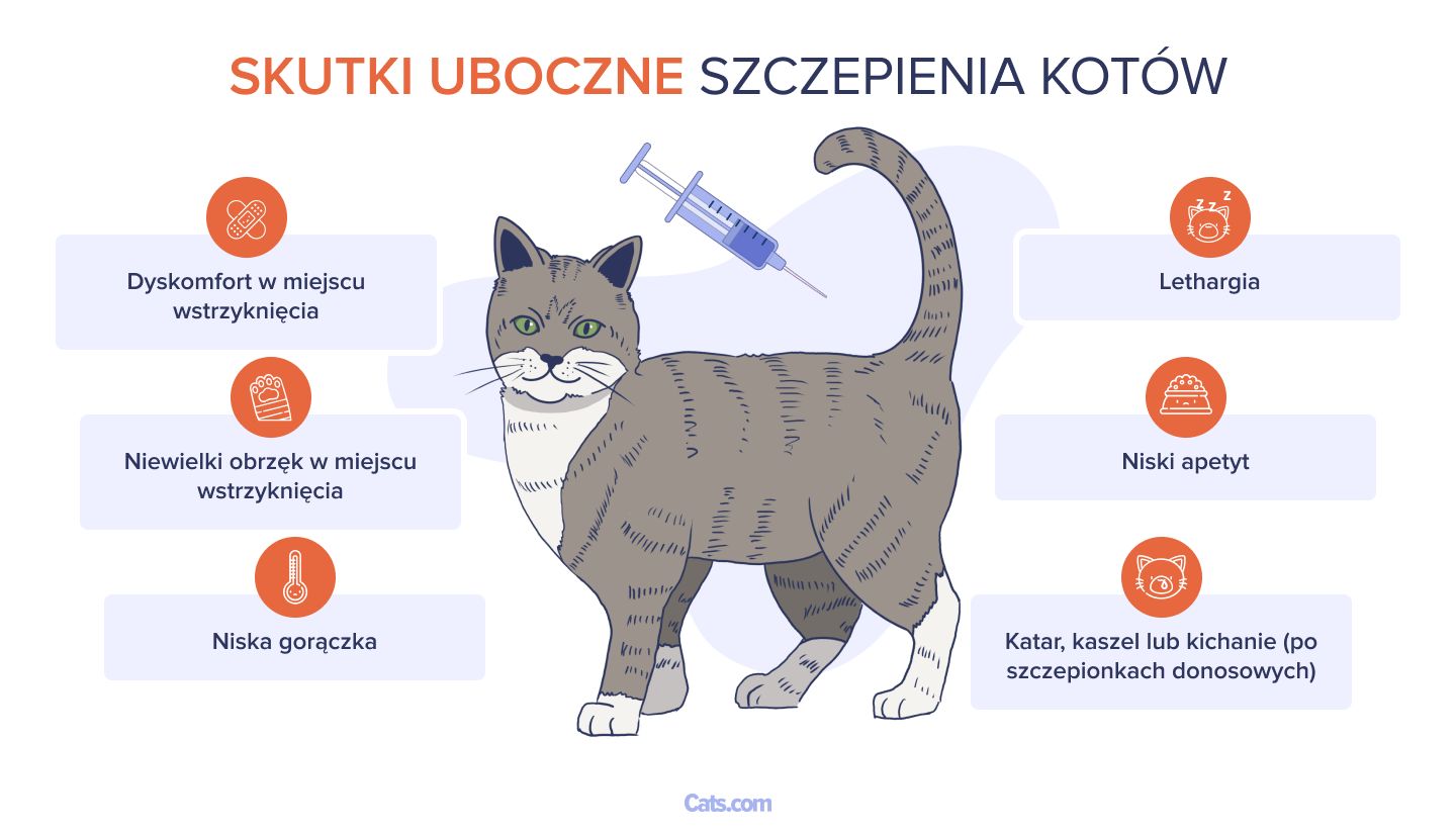 Skutki uboczne szczepienia kotów