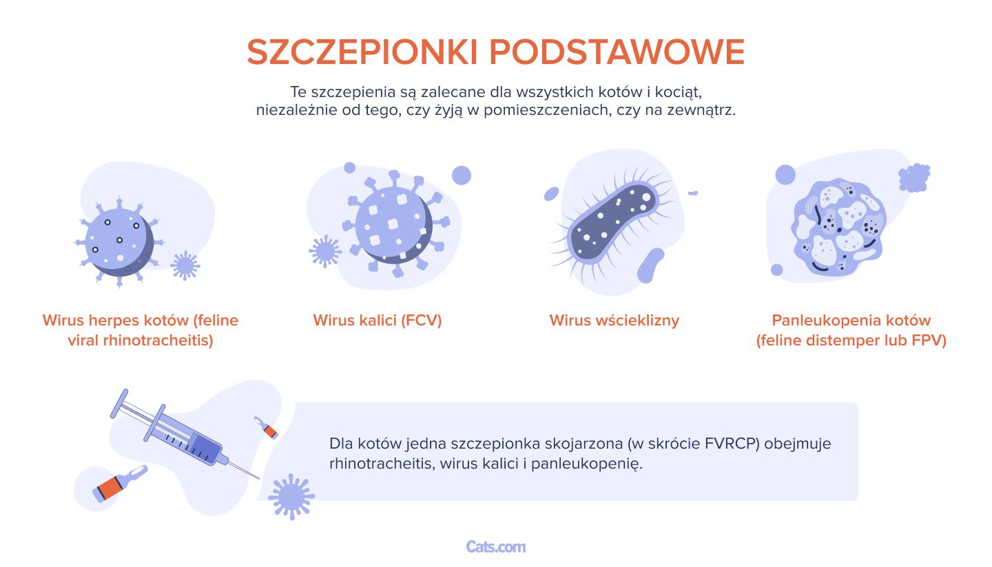 Jakich szczepionek potrzebują koty?