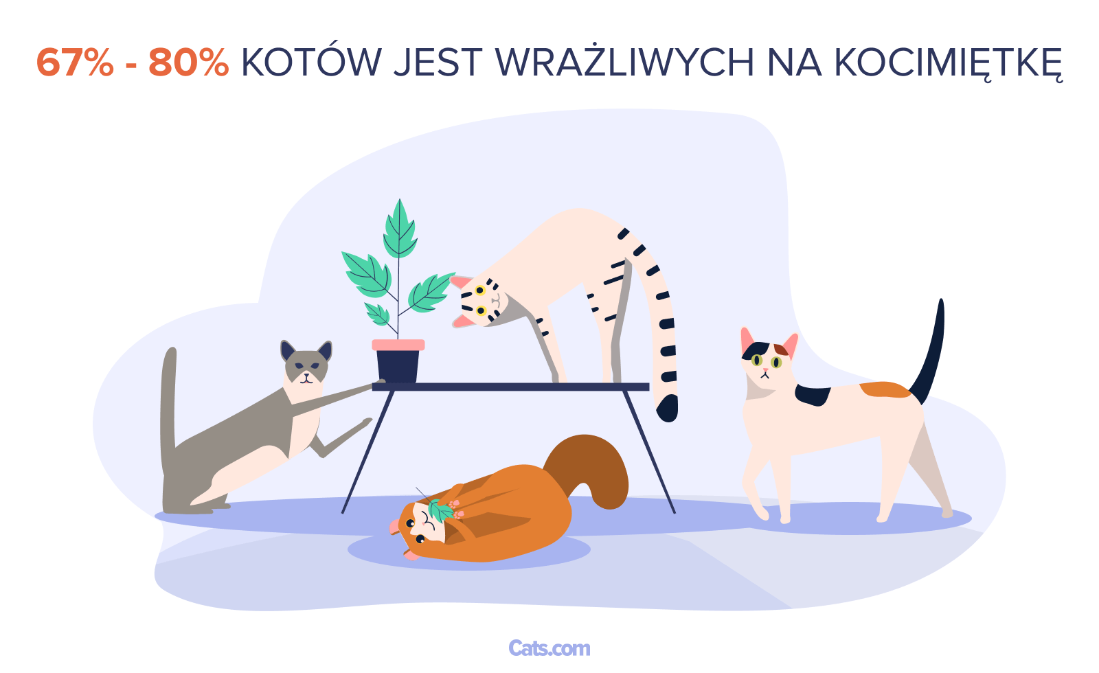 Szał na kocimiętkę