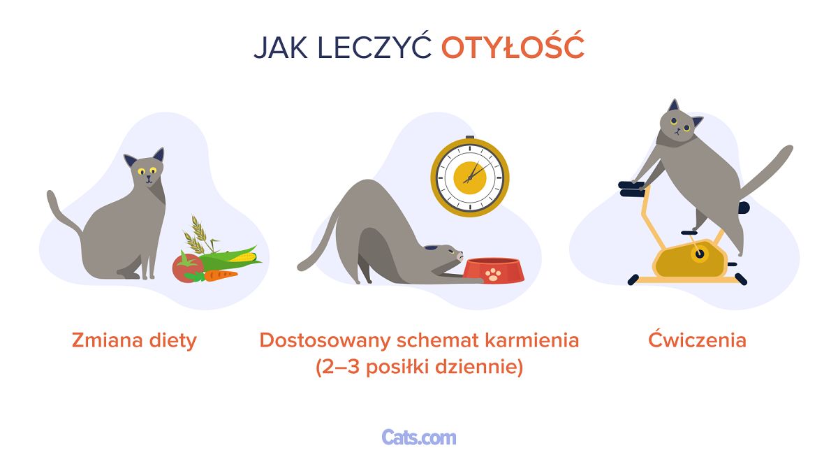 Jak leczyć otyłość
