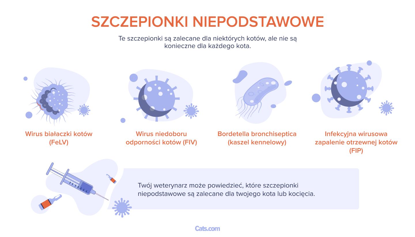 szczepionek niepodstawowych