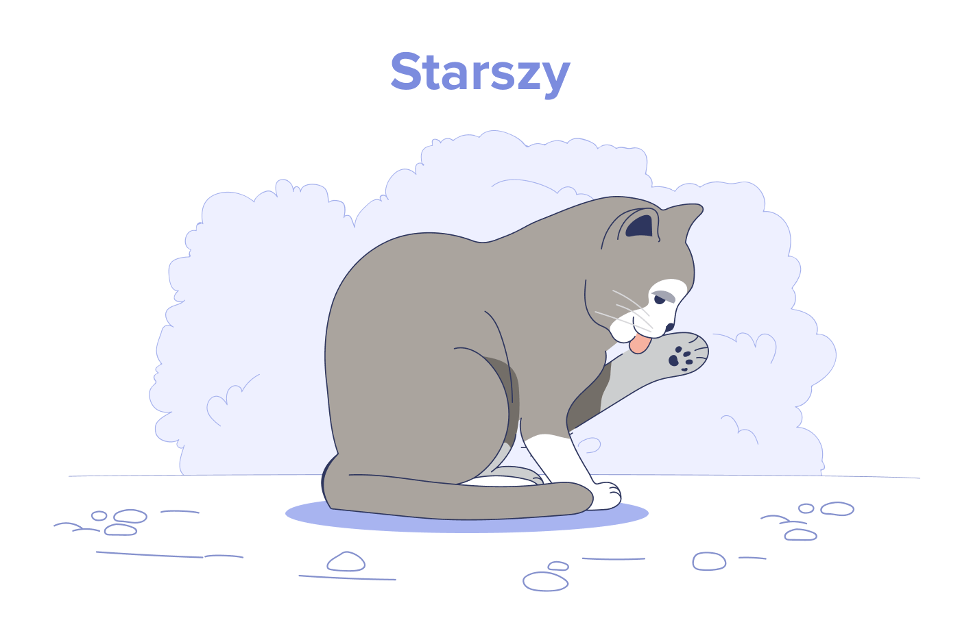 Starsze lata (11+ lat)