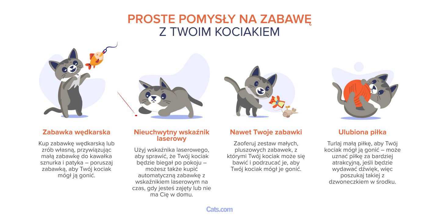 Obrazek przedstawiający proste pomysły na zabawę z kociakiem.