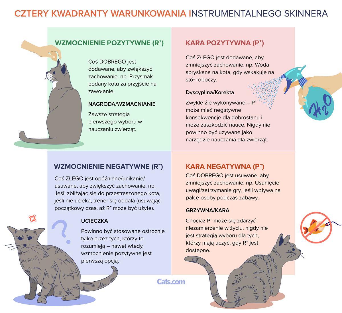 Cztery kwadranty warunkowania instrumentalnego Skinnera przykład