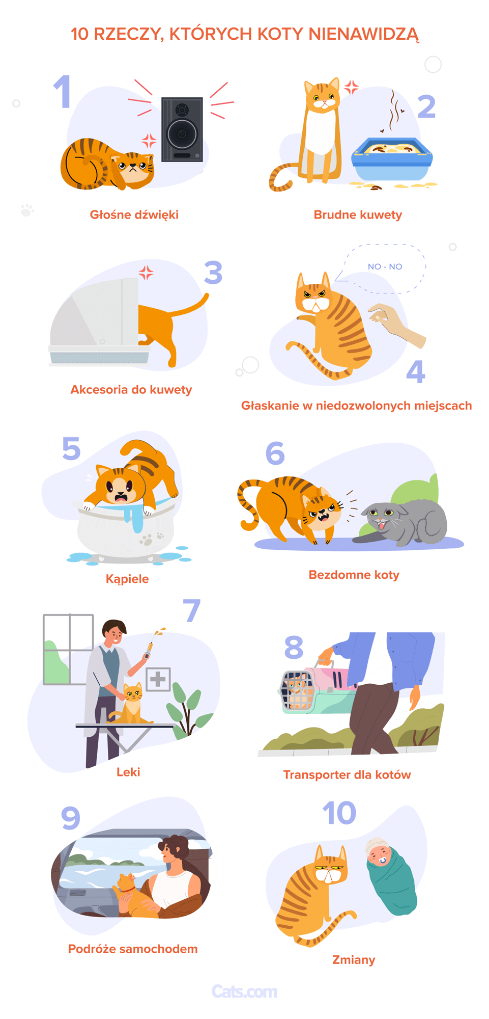10 rzeczy, których koty najbardziej nienawidzą – infografika
