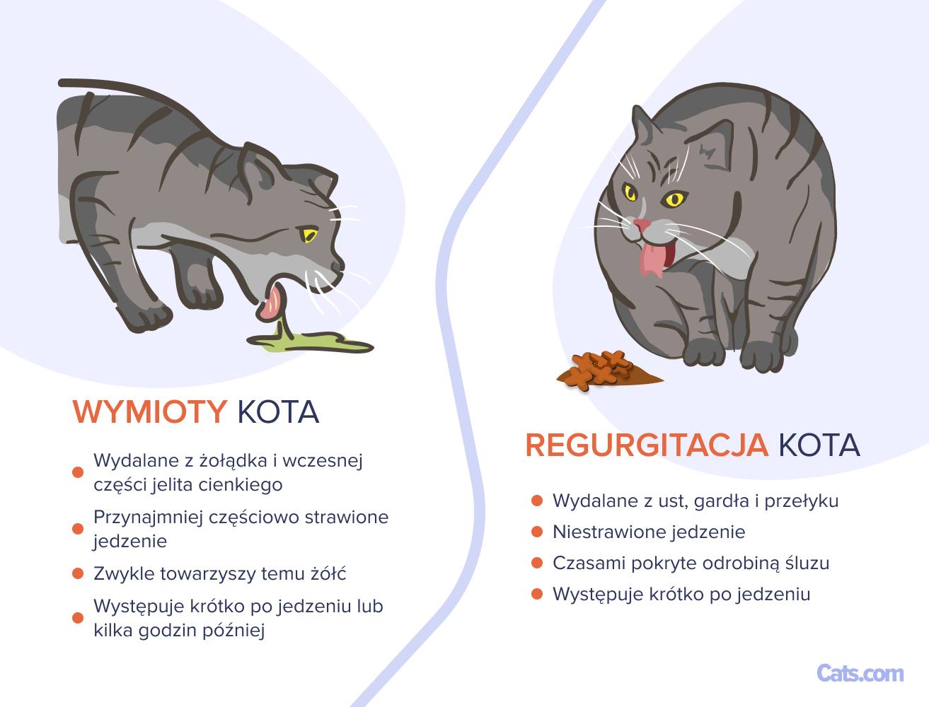 Wymioty czy regurgitacja: co mam na myśli?