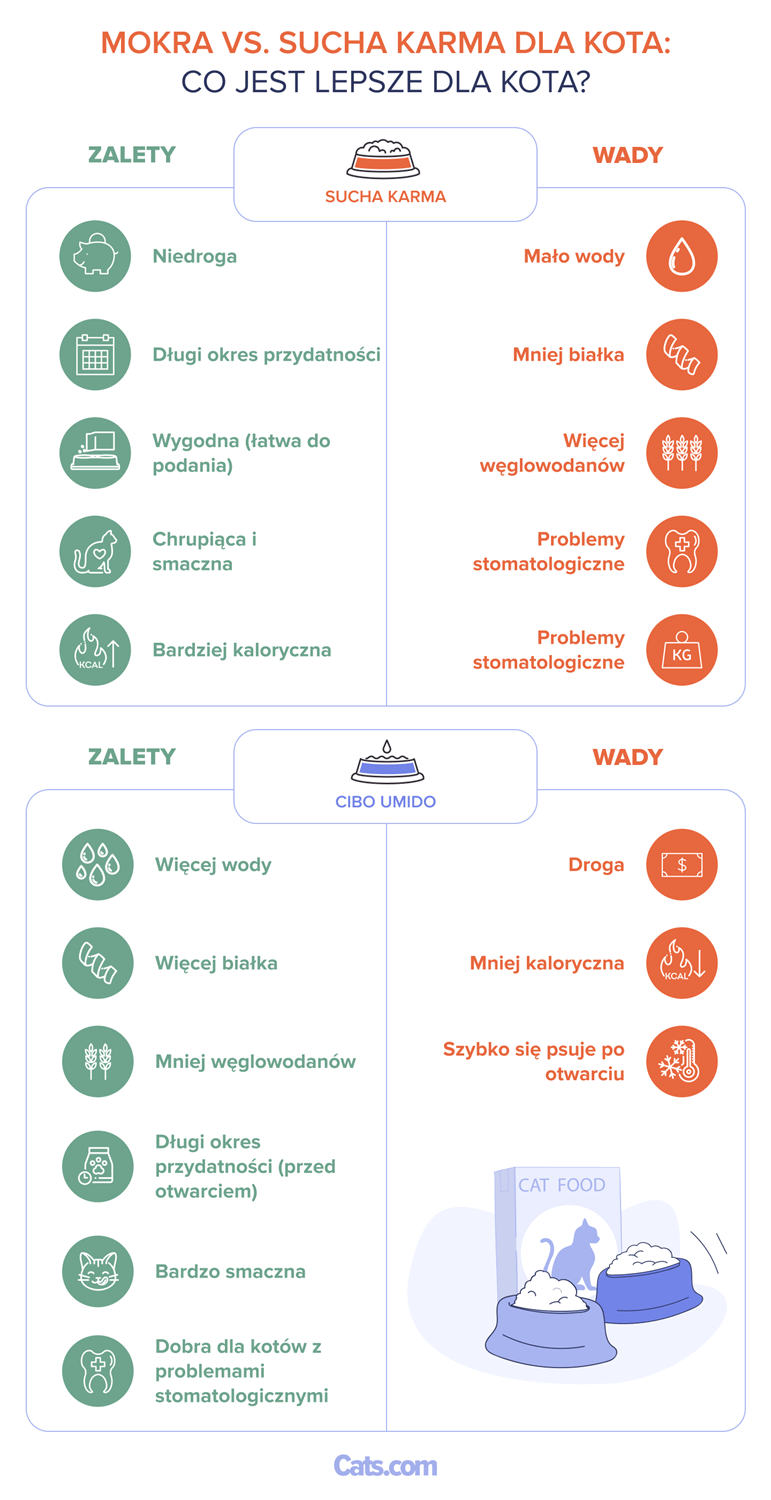 Wet vs Dry Cat Food_ What’s Better For Cats_pl