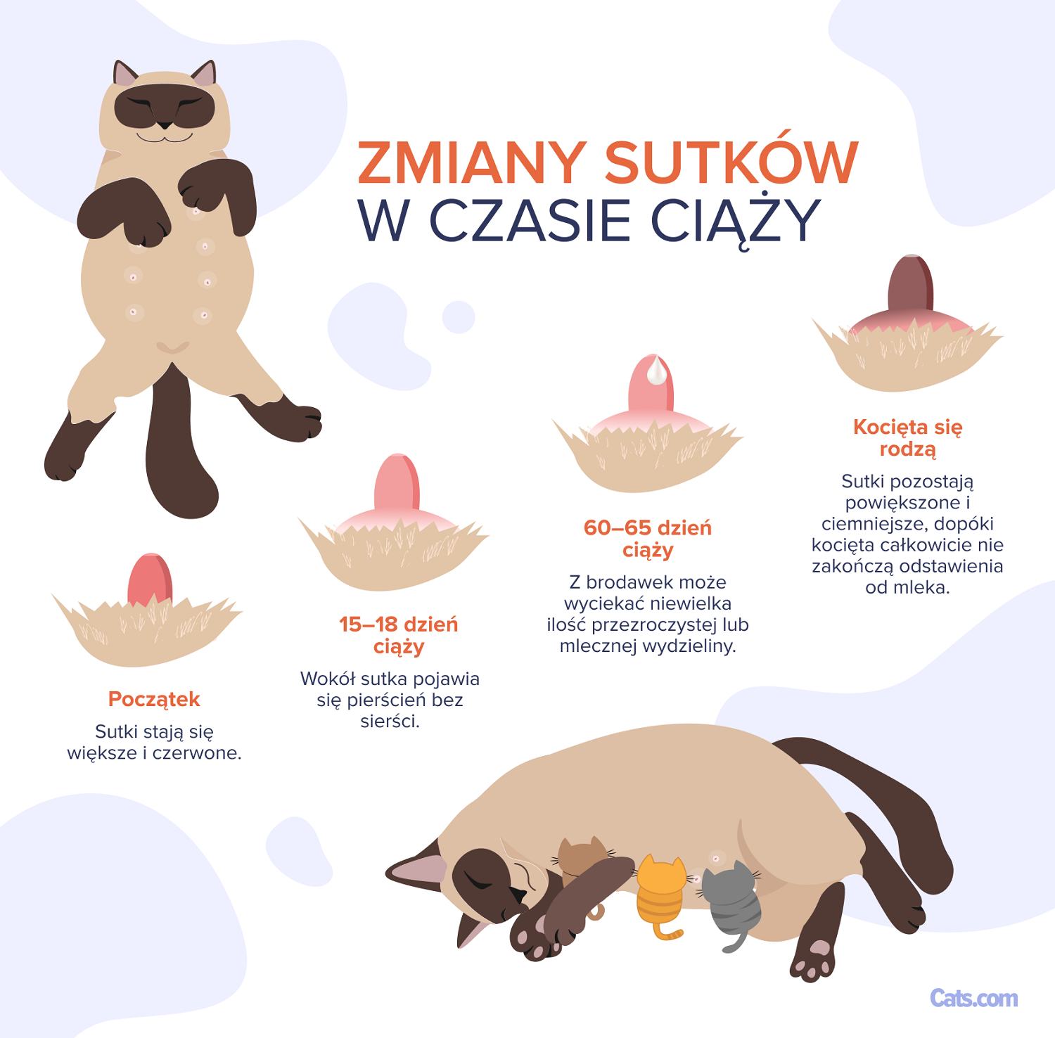 Zmiany brodawek sutkowych w ciąży
