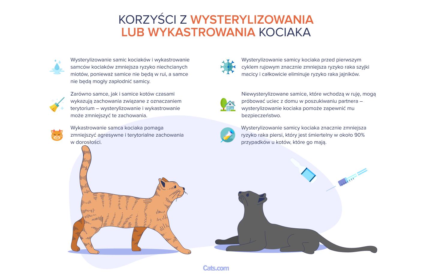 Obrazek przedstawiający korzyści płynące ze sterylizacji lub kastracji kociaka.