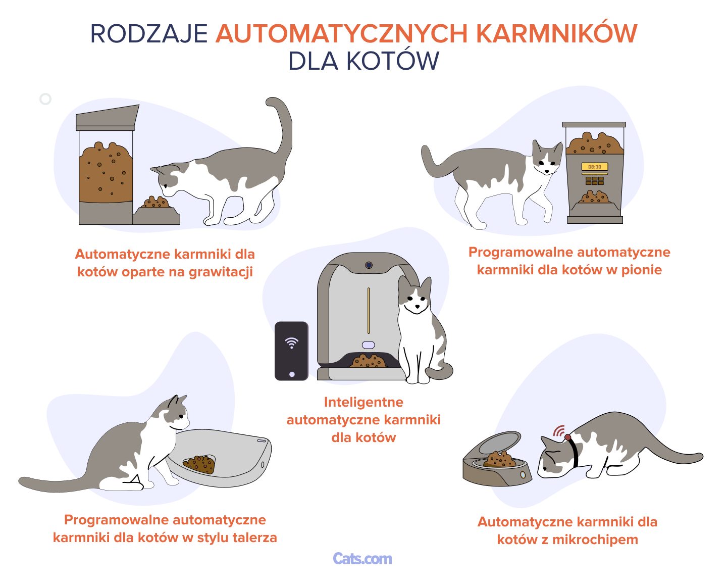 Rodzaje automatycznych karmników dla kotów